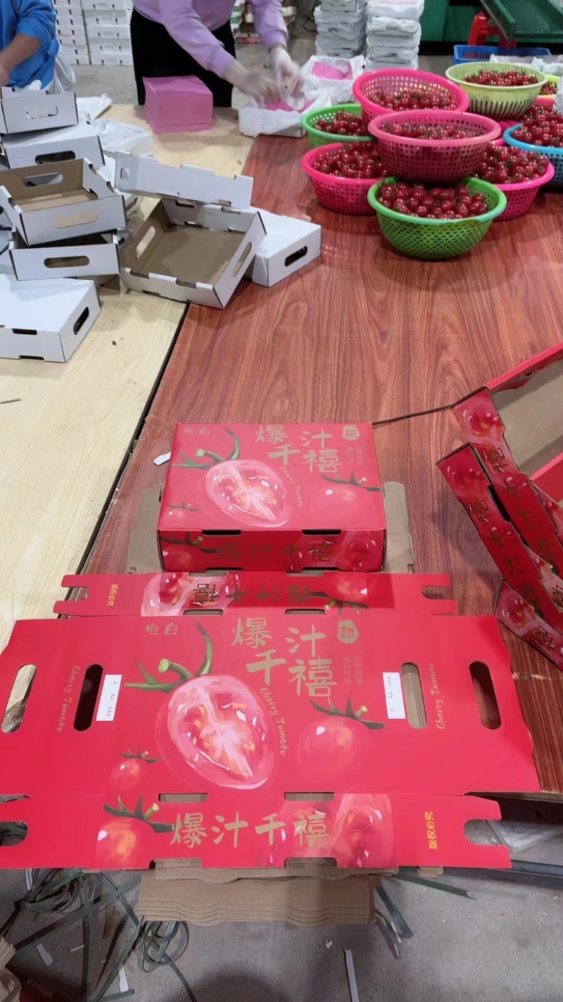 电白千禧圣女果质量好口感好，产地直销社区团购超市电商平台