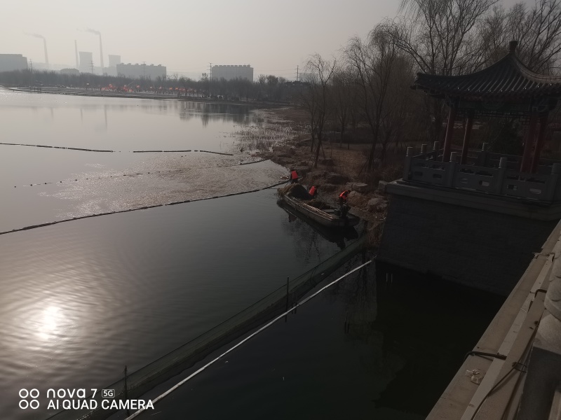 鲫鱼