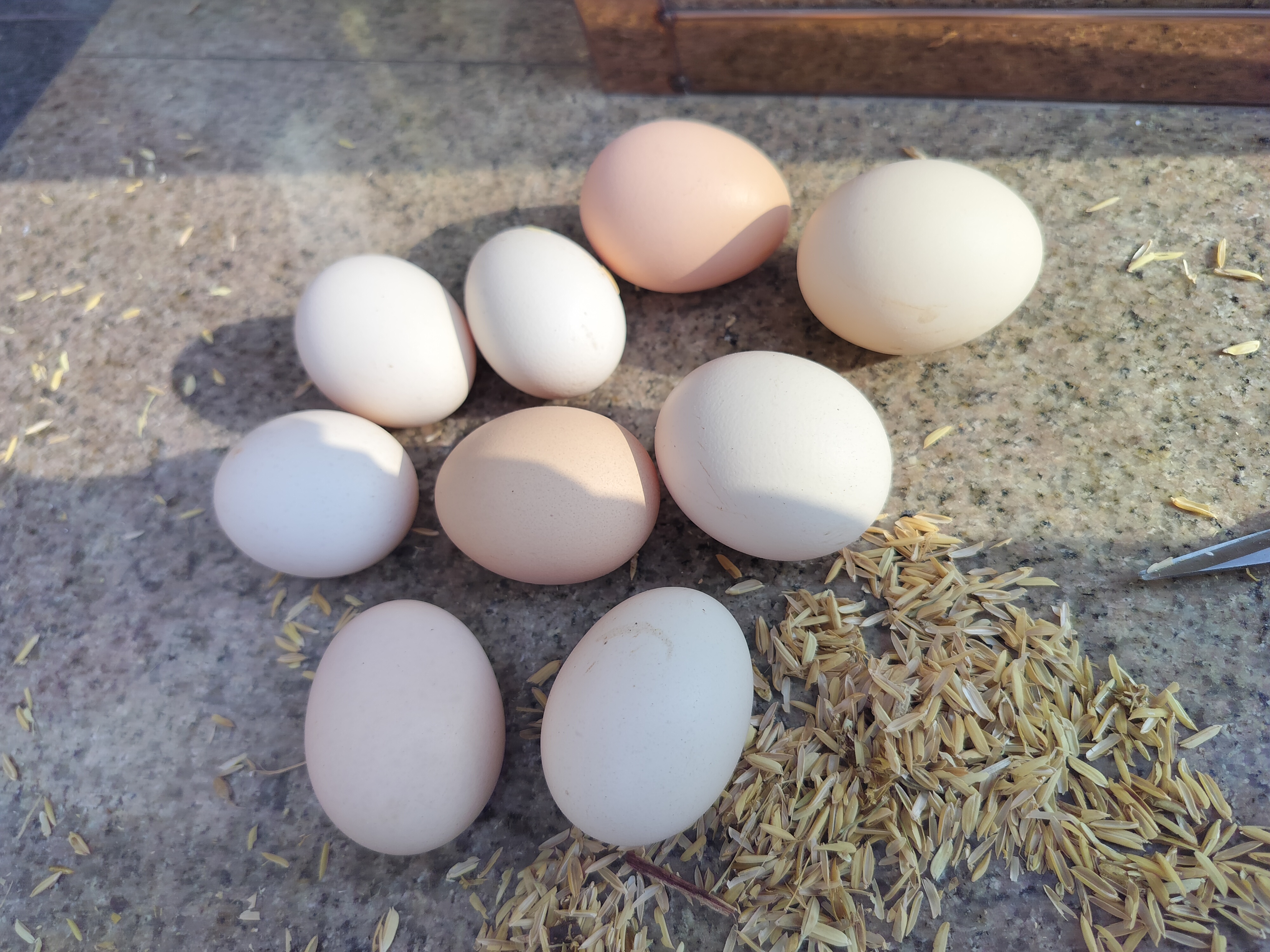 新鲜鸡蛋与糯米酒糟并列摆放,背景为木质厨房台面,光线柔和自然 鸡蛋与酒糟原材料展示图