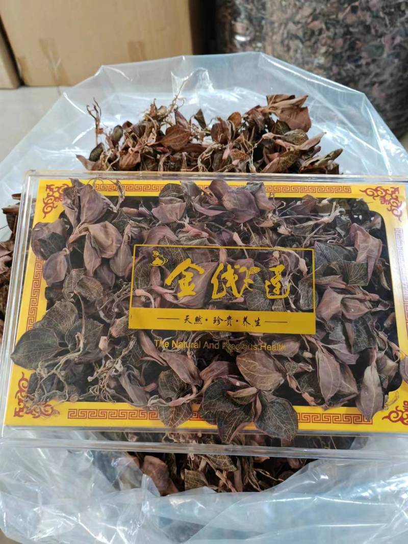 林下原生态仿野生金线莲种植干品整株特级干品批发