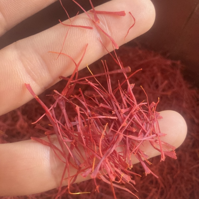 藏红花实物拍摄，需要其它规格请电话联系我