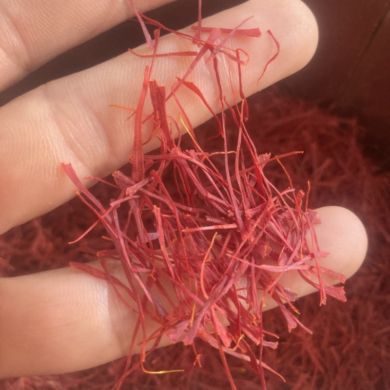 藏红花实物拍摄，需要其它规格请电话联系我