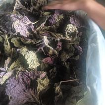 紫苏叶