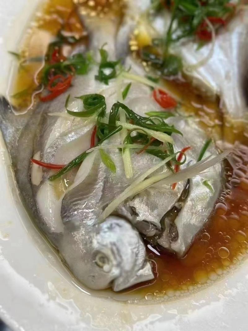 白鲳鱼深海鲳鱼海捕白鲳鱼酒店餐厅批发肉质细腻