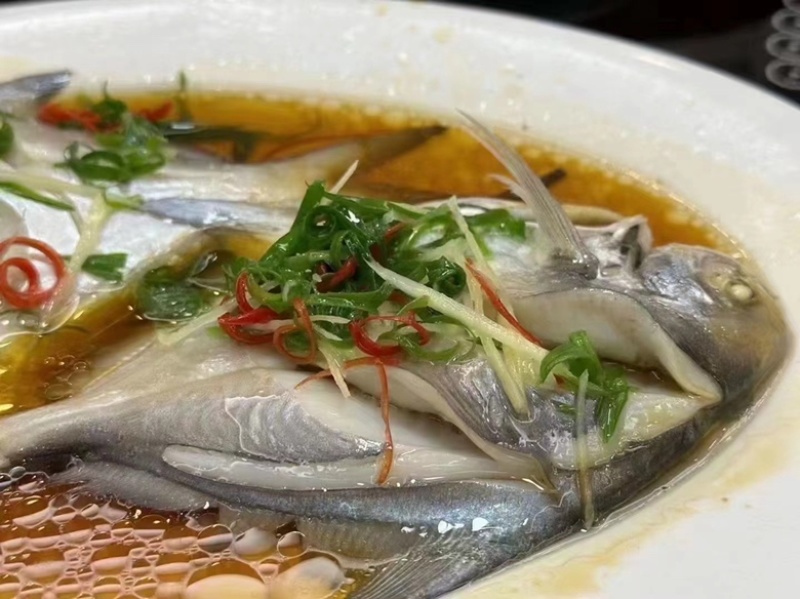 白鲳鱼深海鲳鱼海捕白鲳鱼酒店餐厅批发肉质细腻