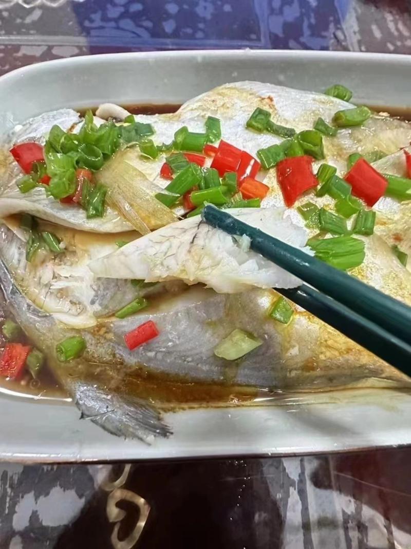 白鲳鱼深海鲳鱼海捕白鲳鱼酒店餐厅批发肉质细腻