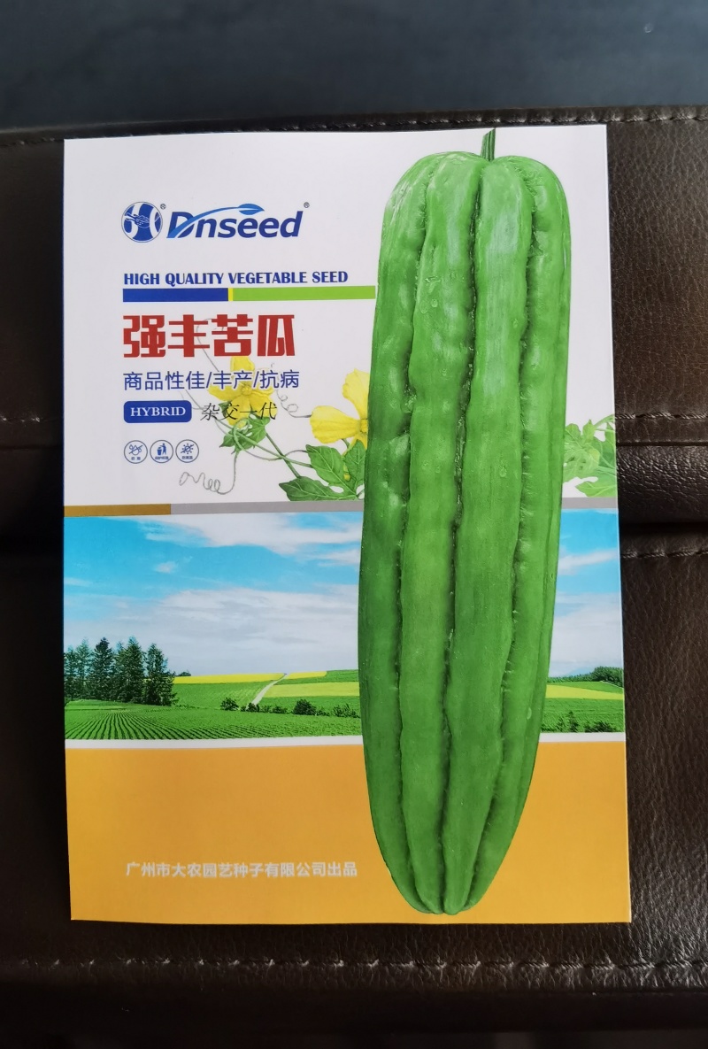 瓜油亮皮色油绿早熟瓜多强丰苦瓜种子泰国引进