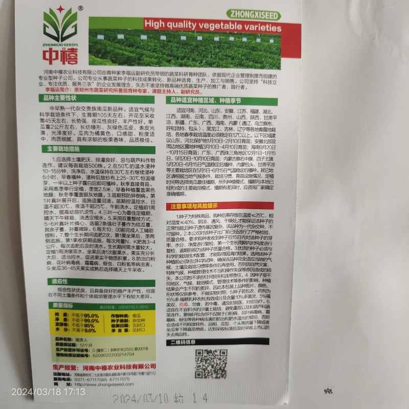 新疆丑瓜种子贵族南瓜种子贵族金丝栗南瓜种籽杂交高产