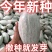 新疆丑瓜种子贵族南瓜种子贵族金丝栗南瓜种籽杂交高产