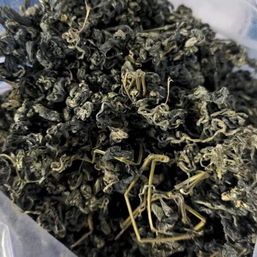 绞股蓝茶绞股蓝实拍图发货如图保庆药业