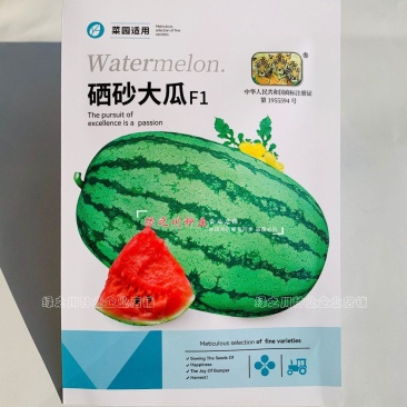 农家菜园西瓜种籽硒砂瓜种子大果型西瓜种子耐重茬糖度高