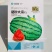 农家菜园西瓜种籽硒砂瓜种子大果型西瓜种子耐重茬糖度高