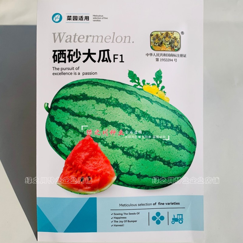 农家菜园西瓜种籽硒砂瓜种子大果型西瓜种子耐重茬糖度高