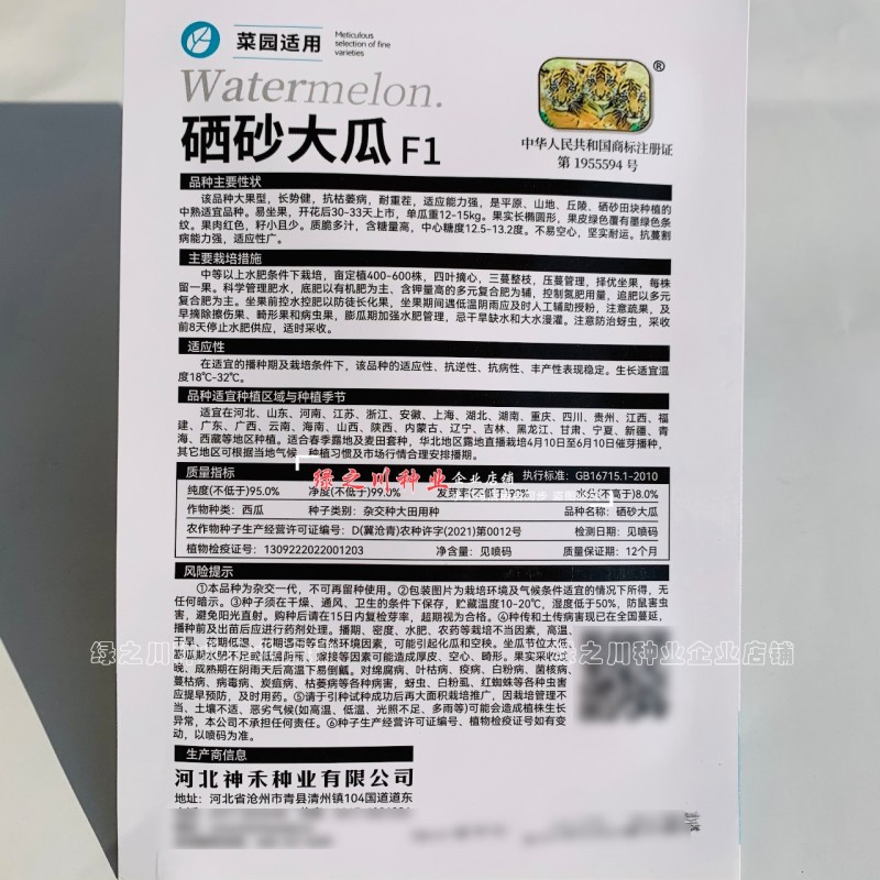 农家菜园西瓜种籽硒砂瓜种子大果型西瓜种子耐重茬糖度高