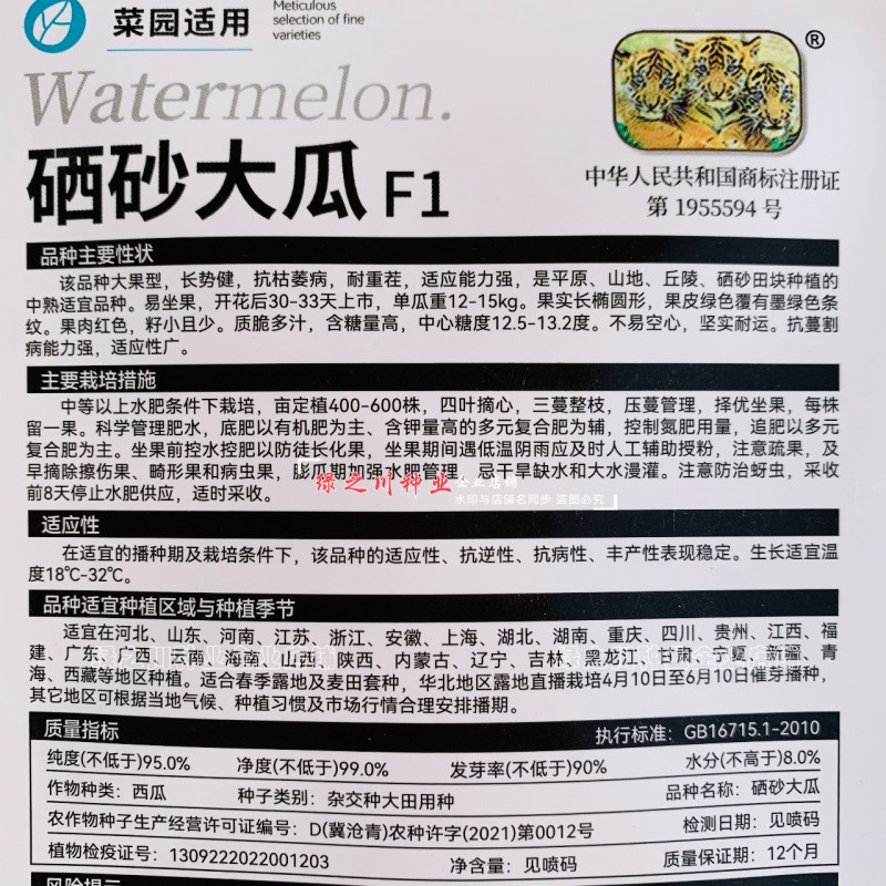农家菜园西瓜种籽硒砂瓜种子大果型西瓜种子耐重茬糖度高