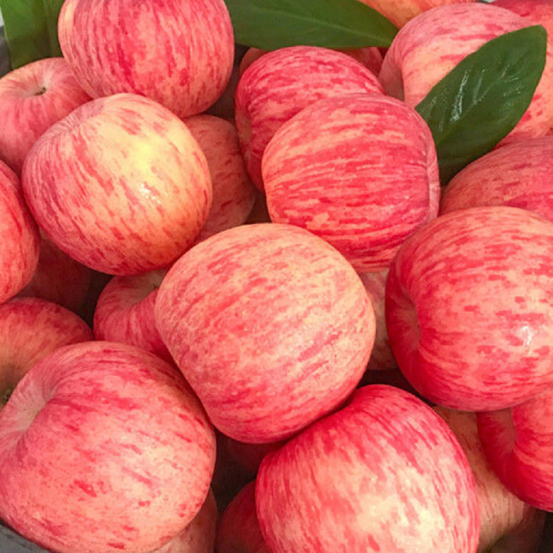 【推荐】山东红富士苹果大量现货产地直发一件代发