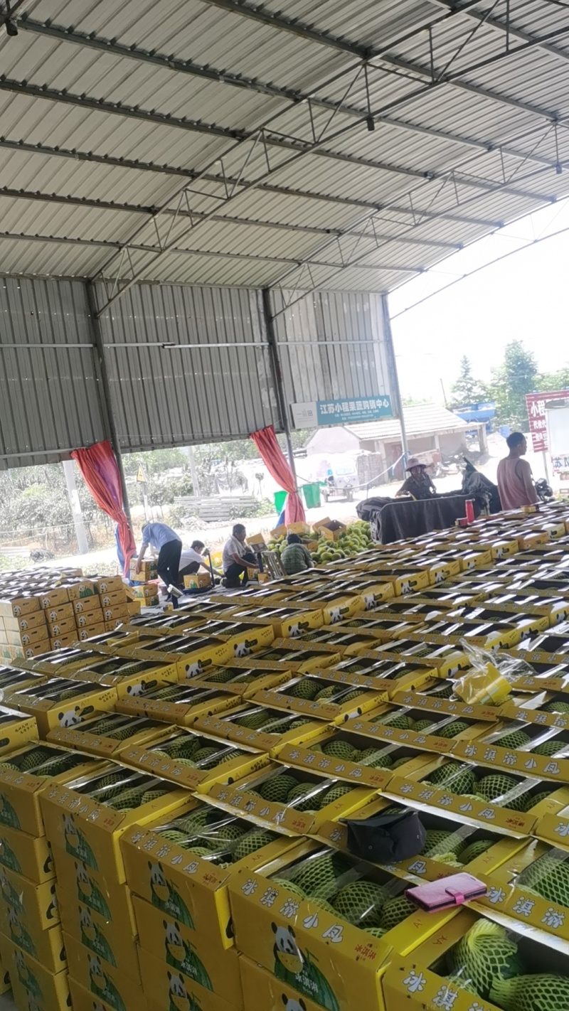 西瓜特小凤西瓜万亩产地直发大量上市供应全国发货