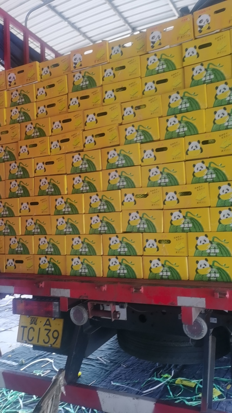 西瓜特小凤西瓜万亩产地直发大量上市供应全国发货