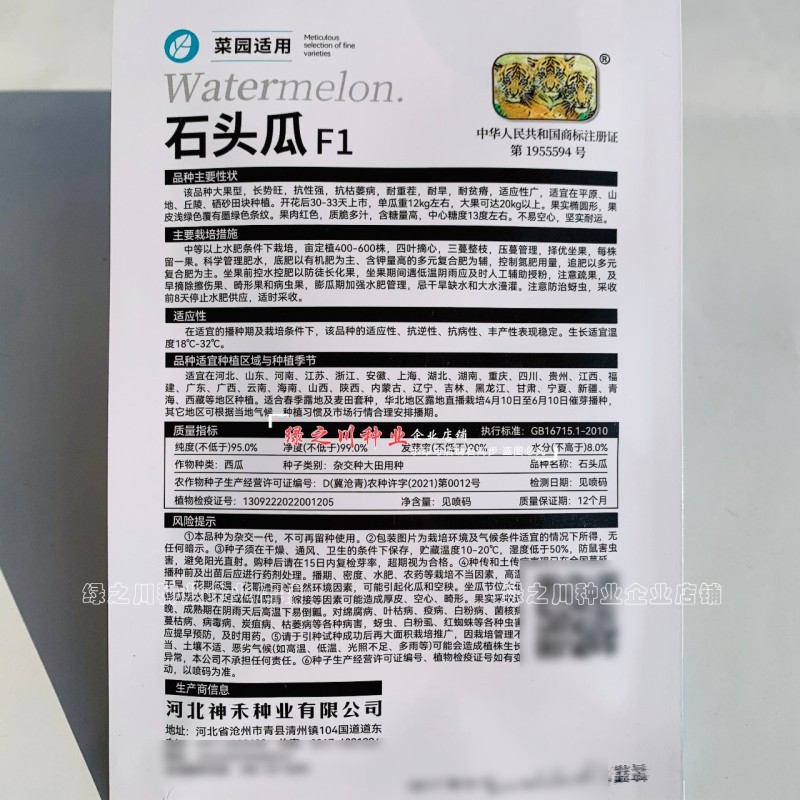 石头瓜种子大果型耐重茬耐旱硒砂瓜大西瓜种子椭圆形大号西瓜
