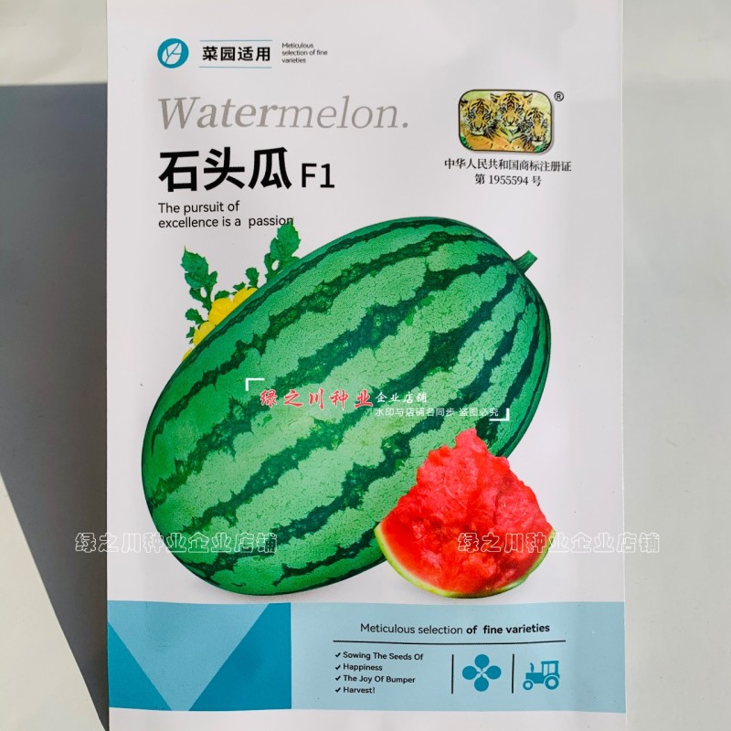 石头瓜种子大果型耐重茬耐旱硒砂瓜大西瓜种子椭圆形大号西瓜
