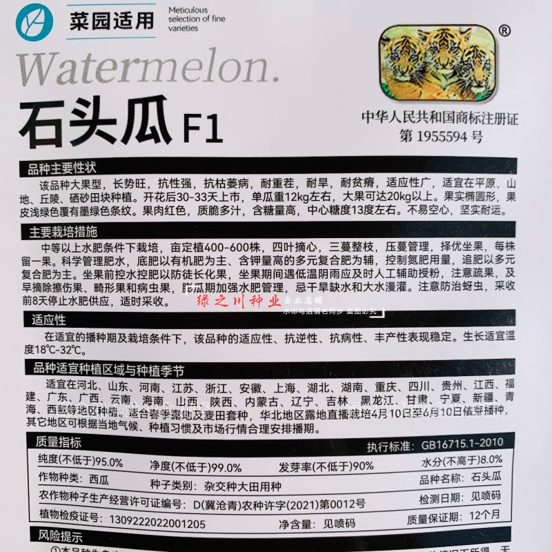 石头瓜种子大果型耐重茬耐旱硒砂瓜大西瓜种子椭圆形大号西瓜