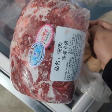 内蒙古锡林浩特草地骆驼肉