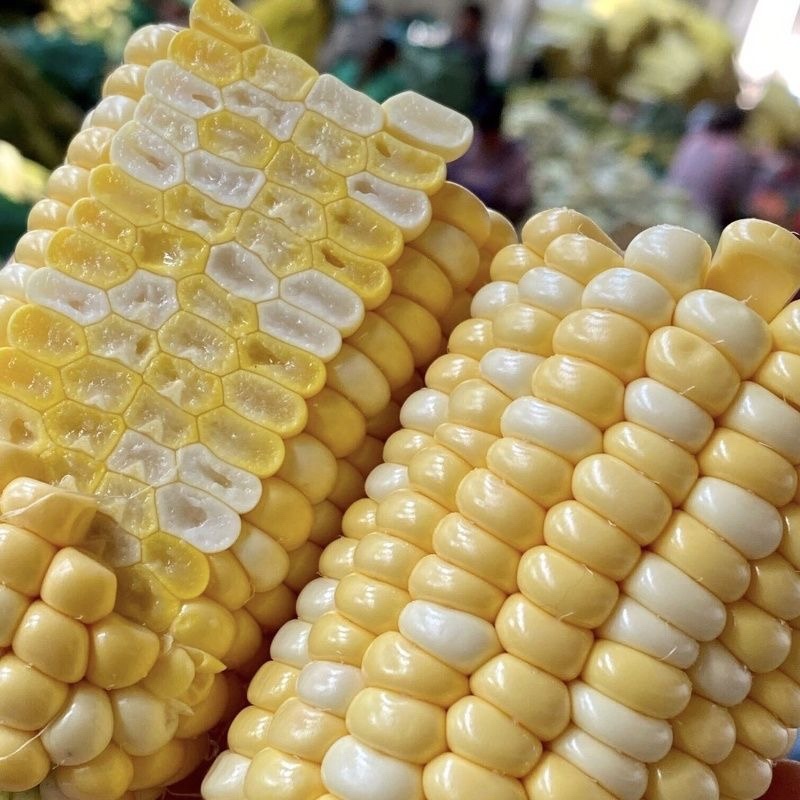 云南水果玉米大量供应可视频看货量大从优品质保证