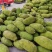 精品菠萝蜜对接全国一手货源量大从优质量保证欢迎咨询