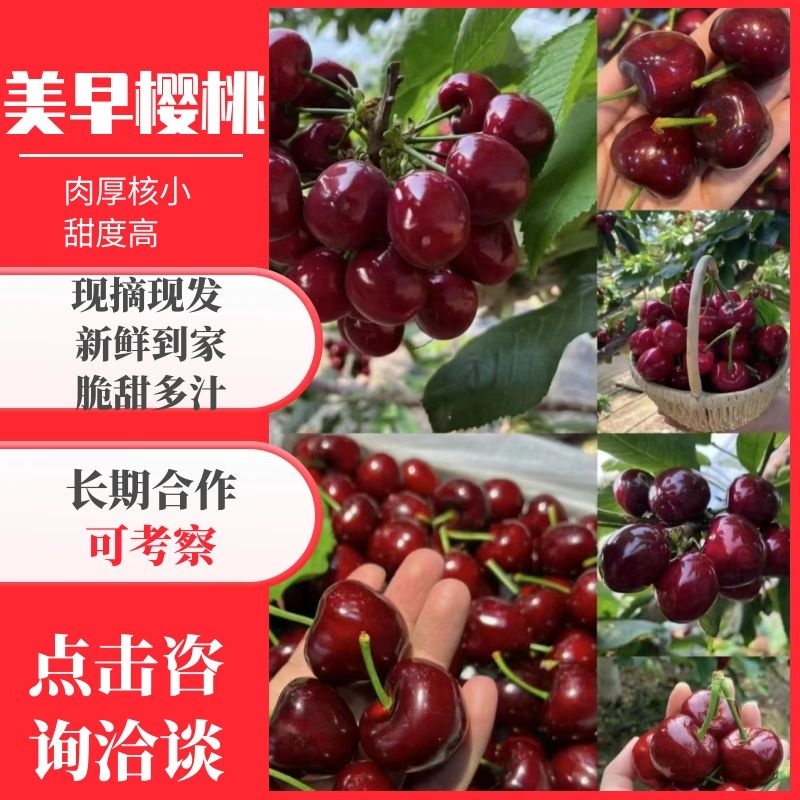 果农对接电商团购收购商，品质保证大樱桃品种齐全一件代发