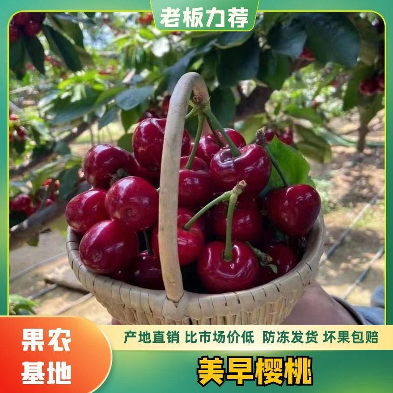 果农对接电商团购收购商，品质保证大樱桃品种齐全一件代发