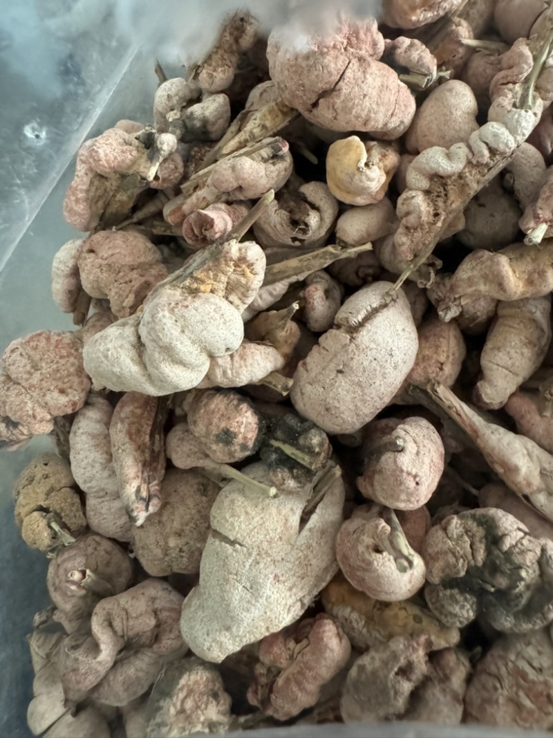 竹黄竹花竹茧保庆药业批发竹花实物拍摄！发货如图