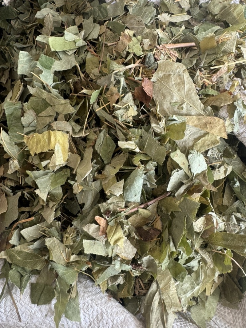 淫羊藿东北淫羊藿淫羊仙灵脾不掺假正品淫羊藿