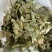 淫羊藿东北淫羊藿淫羊仙灵脾不掺假正品淫羊藿