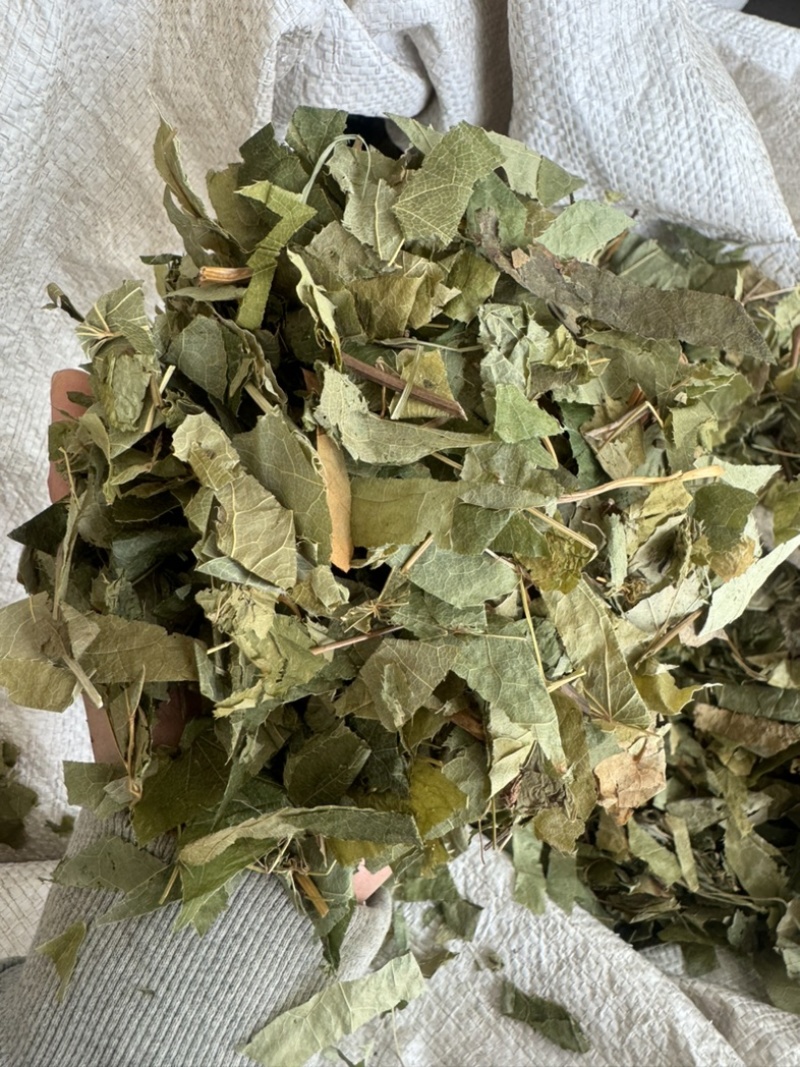 淫羊藿东北淫羊藿淫羊仙灵脾不掺假正品淫羊藿