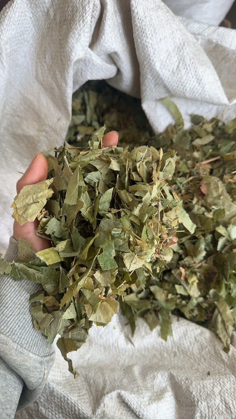 淫羊藿东北淫羊藿淫羊仙灵脾不掺假正品淫羊藿