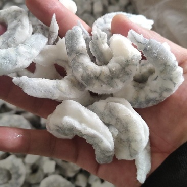 虾仁，青虾仁，胶塘虾仁，土塘虾仁，工厂直供，