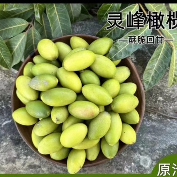 源自闽清优质甜橄榄核心产区，工厂直供，可满足各大平台订单