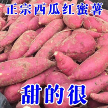 西瓜红蜜薯糖心红薯地瓜番薯大量现货批发