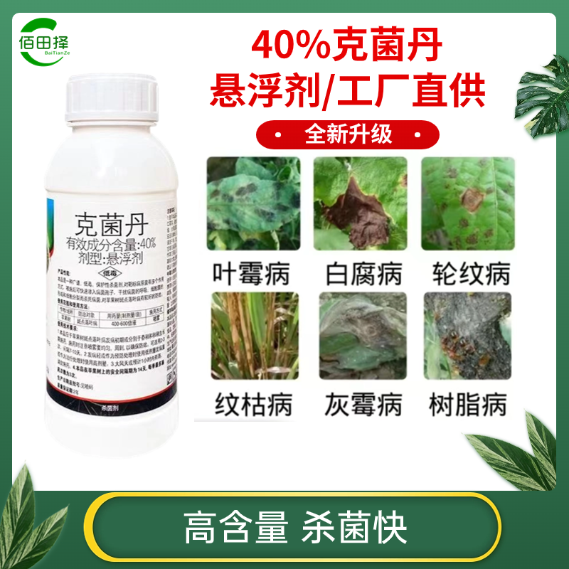 40%克菌丹悬浮剂克菌舟苹果树斑点落叶病克菌单清杀菌剂