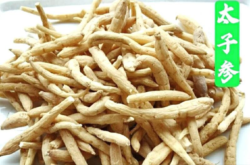 太子参中药材太子参肉质肥厚参香浓郁泡茶煲汤包邮