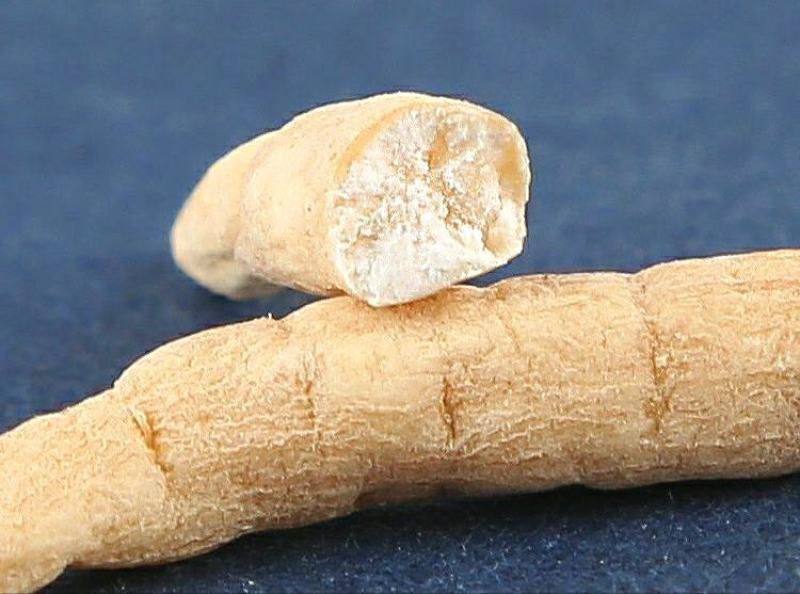 太子参中药材太子参肉质肥厚参香浓郁泡茶煲汤包邮