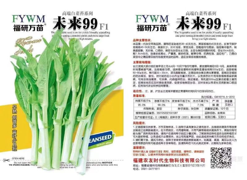 白菜苔靓货