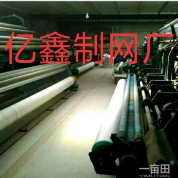 防鸟网，渔塘等定制加工，大量供应，欢迎来电采购