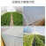 大棚专用绳压膜绳大棚膜加粗固定绳耐用压膜带抗老化加厚