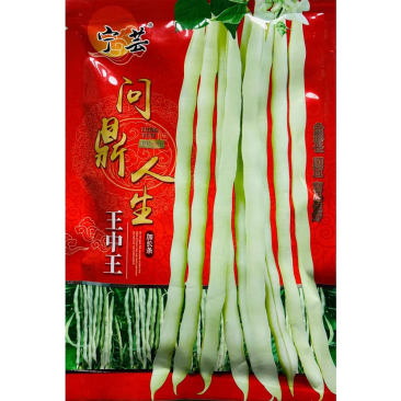 芸豆种宁芸王中王架豆种子品种白绿色条型顺直荚率高品种种子