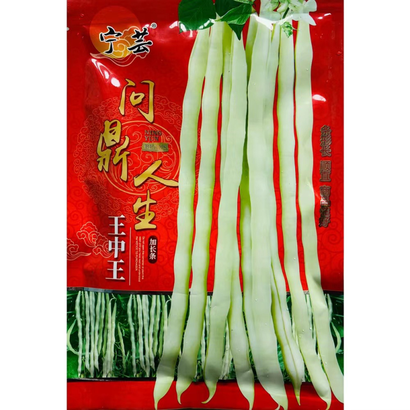 芸豆种宁芸王中王架豆种子品种白绿色条型顺直荚率高品种种子