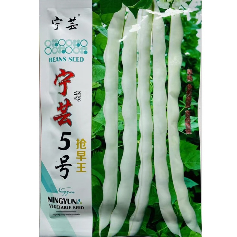 芸豆种宁芸王中王架豆种子品种白绿色条型顺直荚率高品种种子