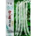 芸豆种宁芸王中王架豆种子品种白绿色条型顺直荚率高品种种子