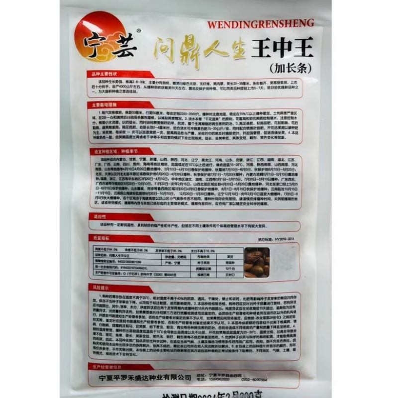 芸豆种宁芸王中王架豆种子品种白绿色条型顺直荚率高品种种子