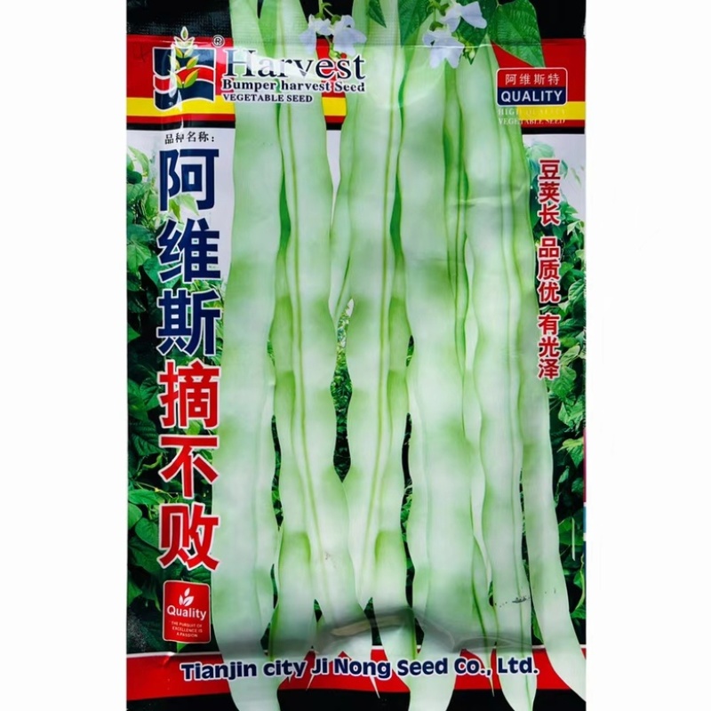 芸豆种宁芸王中王架豆种子品种白绿色条型顺直荚率高品种种子